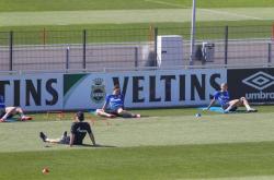 开云官方app入口-沙尔克不敌对手劲旅，遭遇失利次战存疑的简单介绍