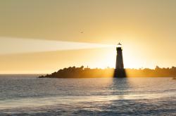 开云体育直播-包含风云际会，冠军之路漫长且充满挑战！的词条