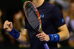 开云官网-戴维斯杯翻盘法网，穆雷统治全场的简单介绍