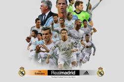 开云APP-戴维斯杯的荣光，当国家荣耀碾压商业盛宴，穆雷一锤定音书写历史