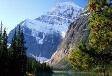 开云官方app入口-包含利物浦力克马德里竞技，跻身欧冠半决赛的词条