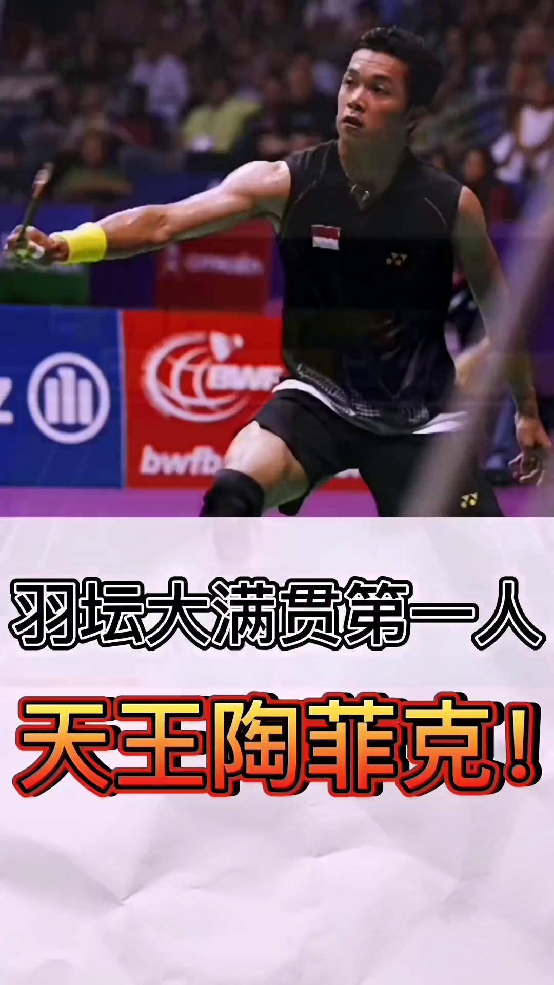 印度羽毛球队完胜法国羽毛球队，陶菲克惊艳世界的简单介绍