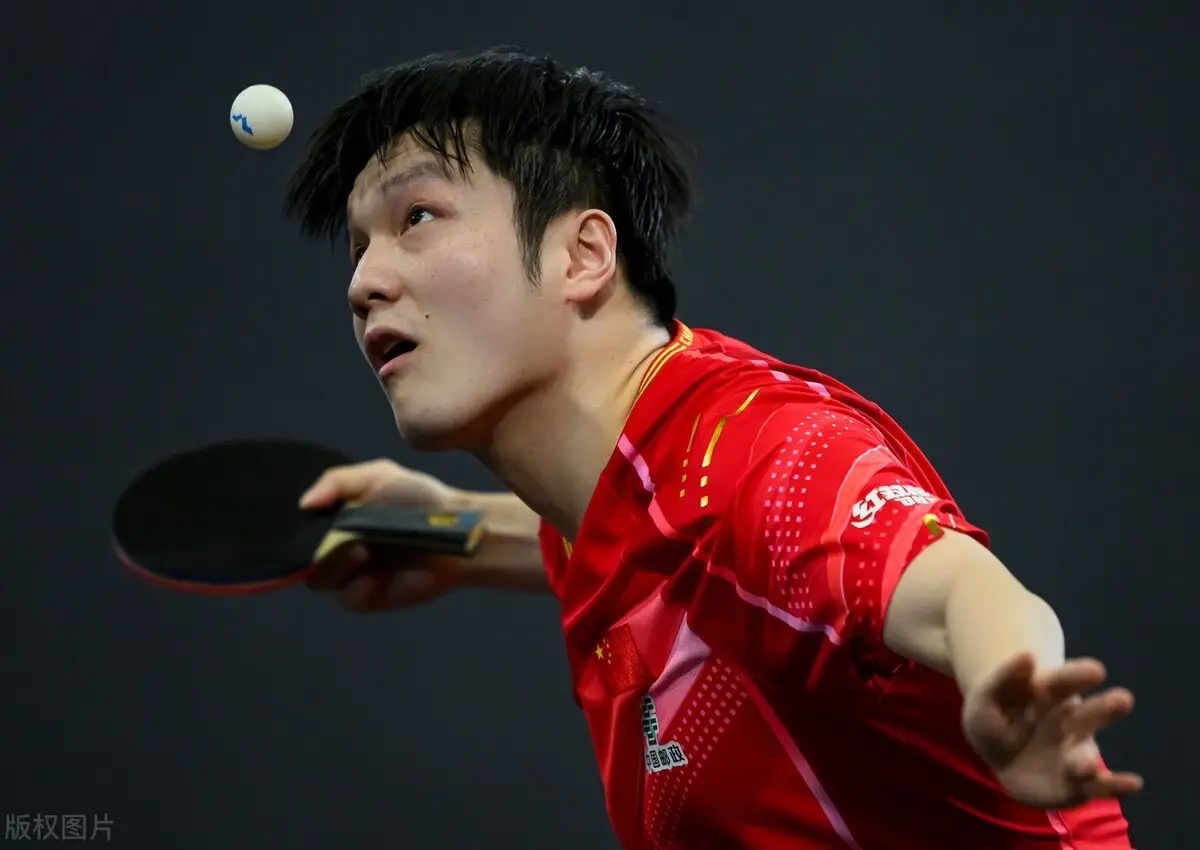 奥地利队翻盘波兰队,樊振东高光表现的简单介绍 奥地利队翻盘波兰队,樊振东高光表现的简单介绍