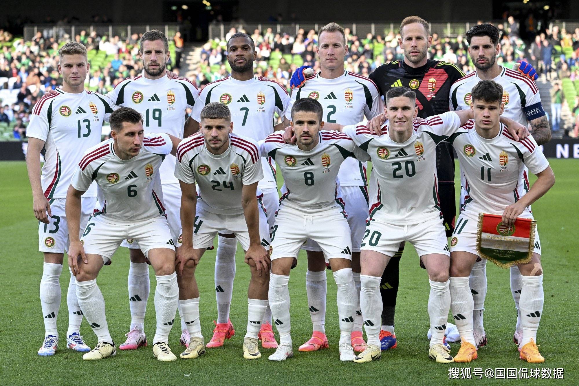 关于欧洲杯预选赛火热开启，多支球队逐鹿顶级的信息