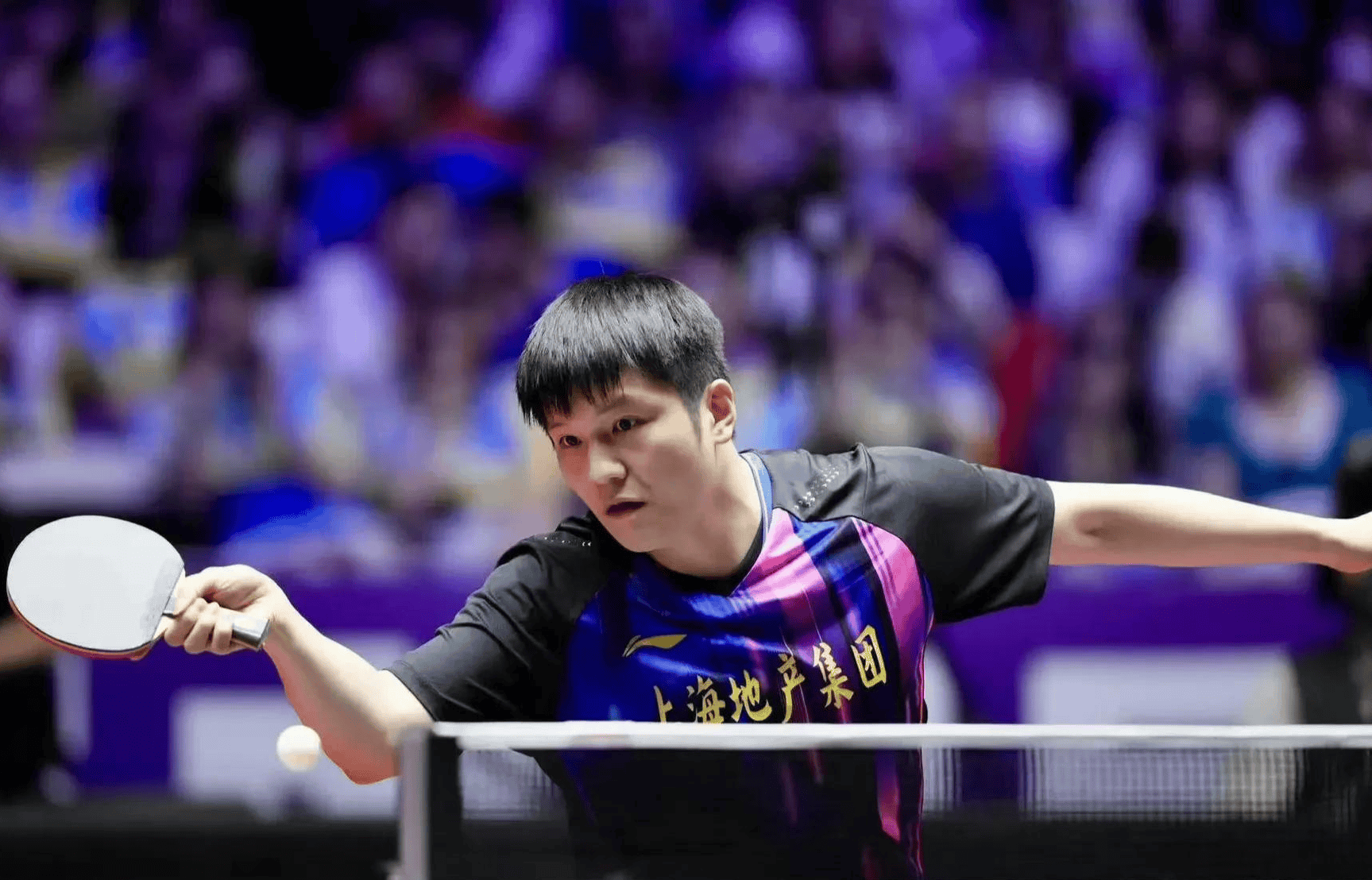 包含中国乒乓球队血洗日本乒乓球队，樊振东打破历史纪录的词条