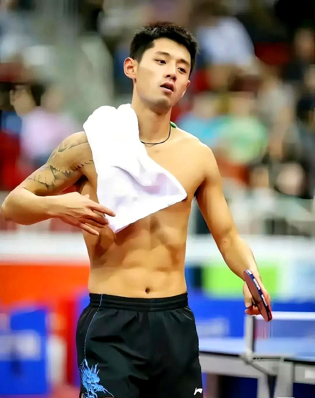 瑞典乒乓球队血洗韩国乒乓球队，张继科打破历史纪录的简单介绍